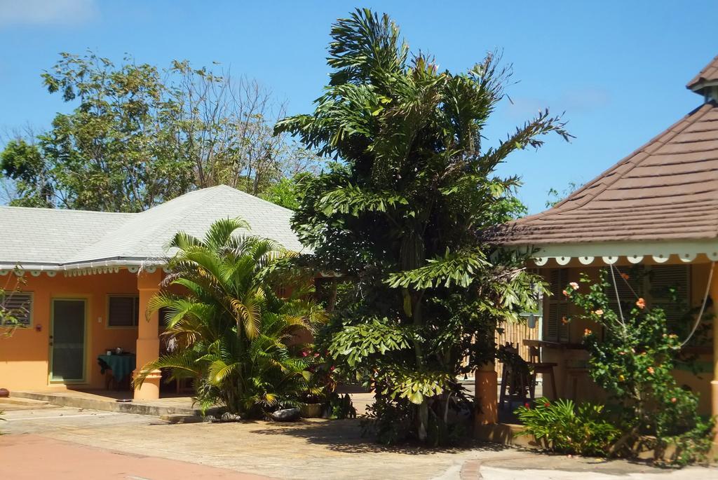 Pimento Lodge Resort Port Antonio Exteriör bild