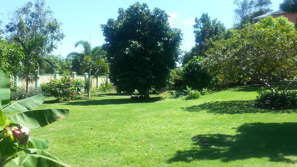 Pimento Lodge Resort Port Antonio Exteriör bild