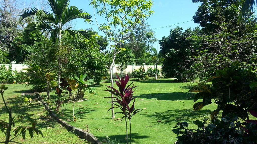 Pimento Lodge Resort Port Antonio Exteriör bild