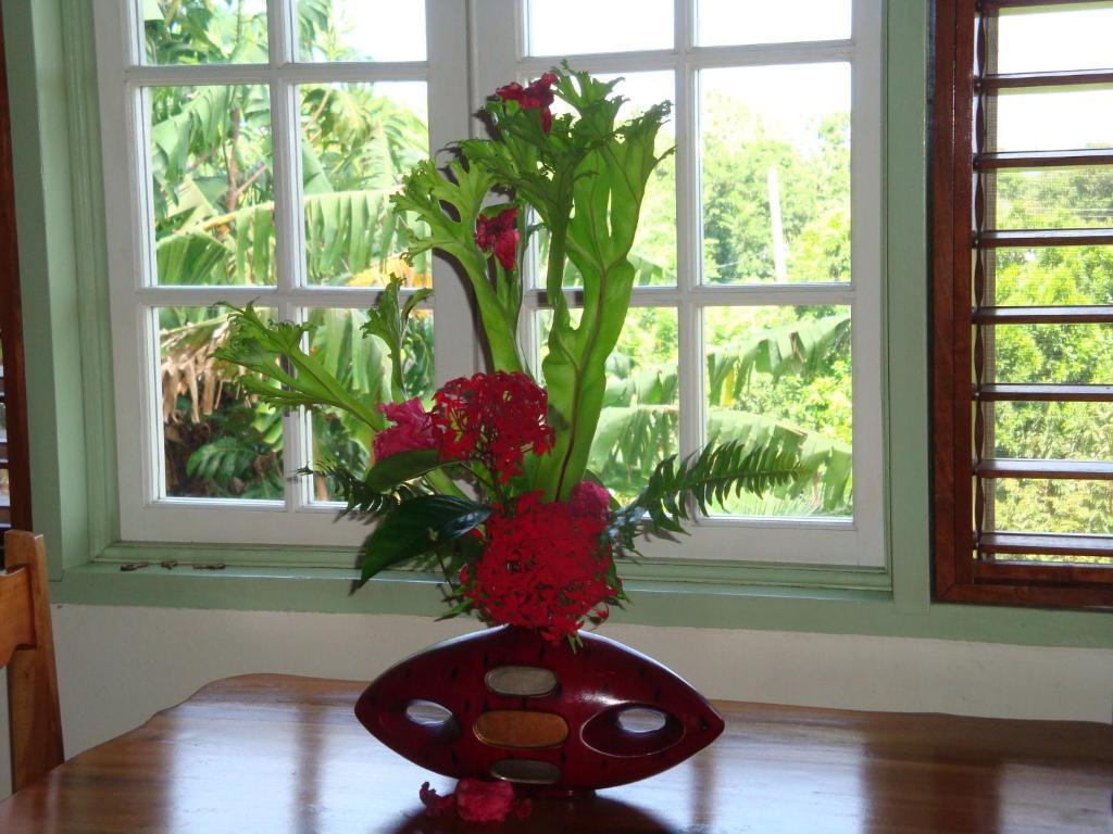 Pimento Lodge Resort Port Antonio Rum bild