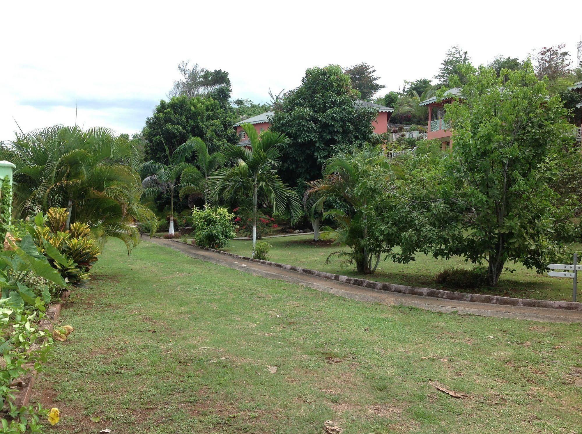 Pimento Lodge Resort Port Antonio Exteriör bild